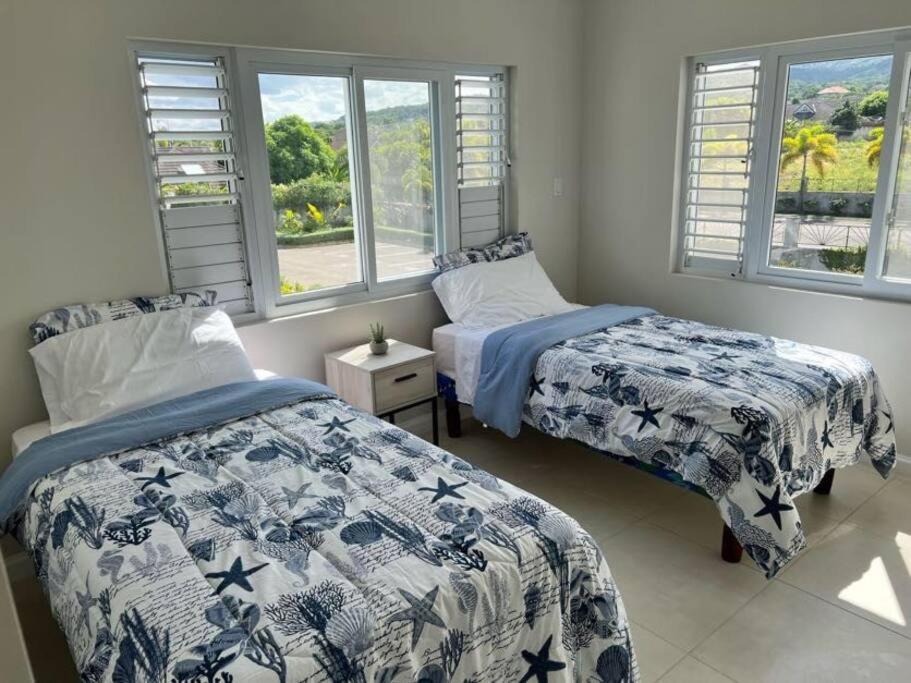 New Luxurious Retreat Near Ocho Rios Daire Richmond Dış mekan fotoğraf